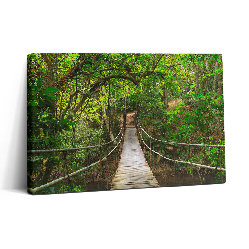 Vászonkép nyomtatás 30x20 Híd a Khao Yai dzsungelben