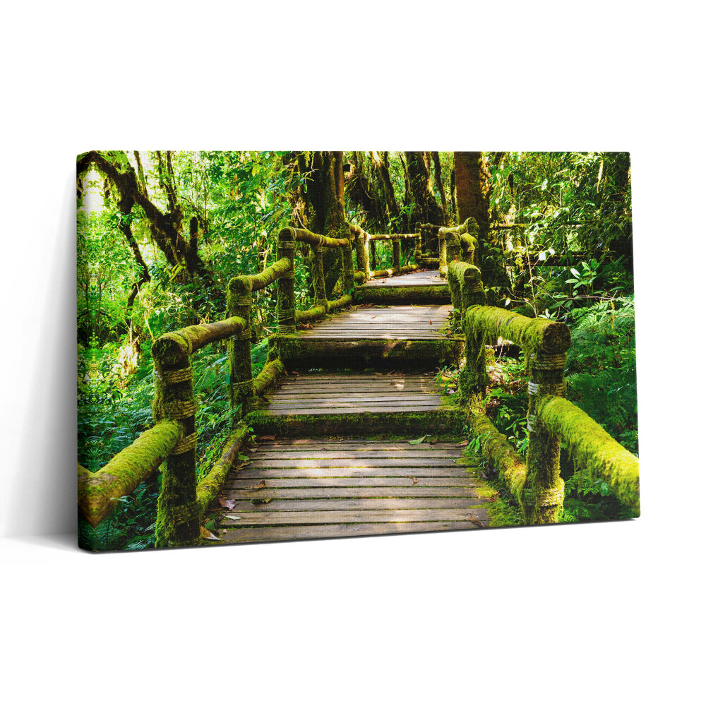 Vászonkép nyomtatás 30x20 Fából készült gyaloghíd - agroturizmus