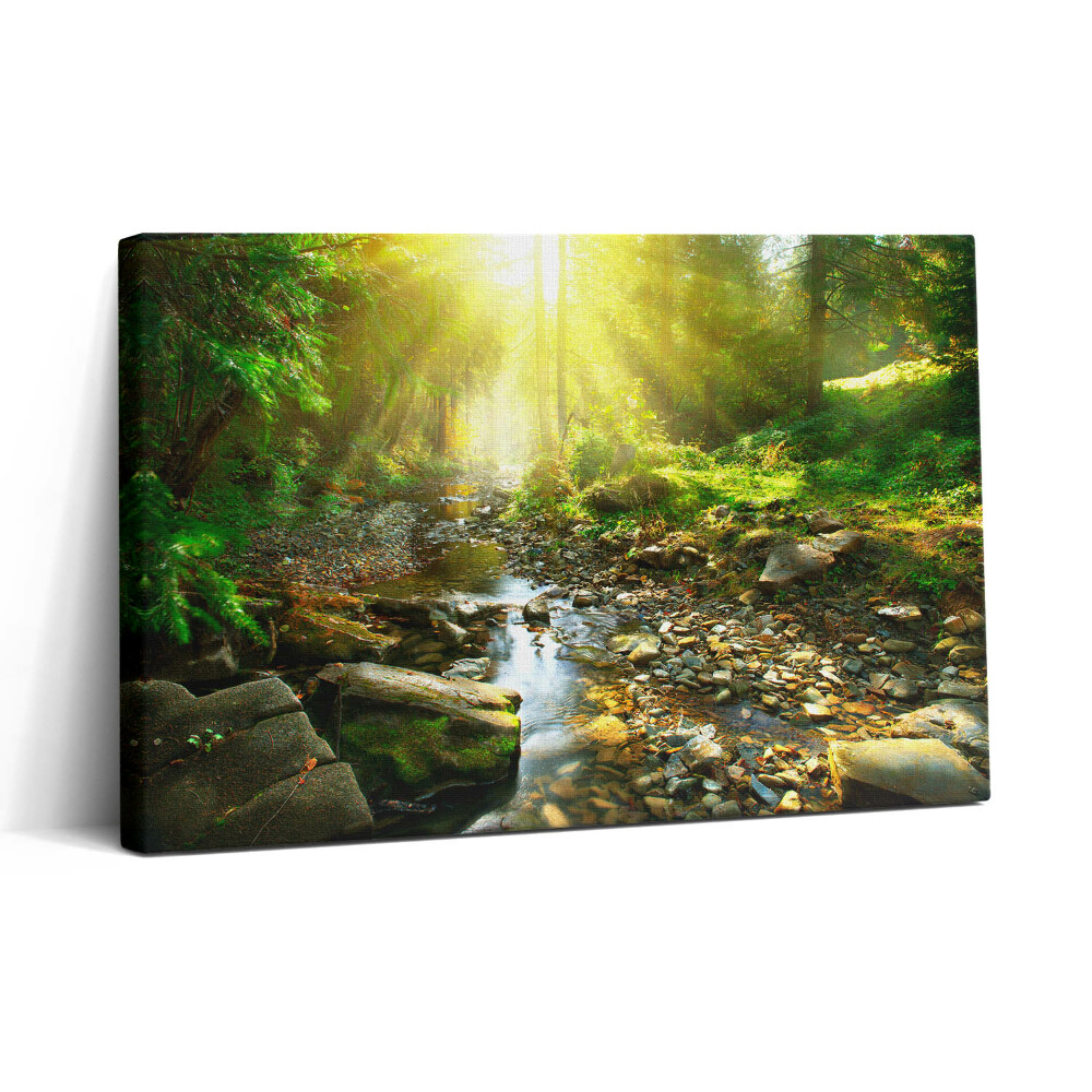 Vászonkép nyomtatás 30x20 Erdei patak a napfényben