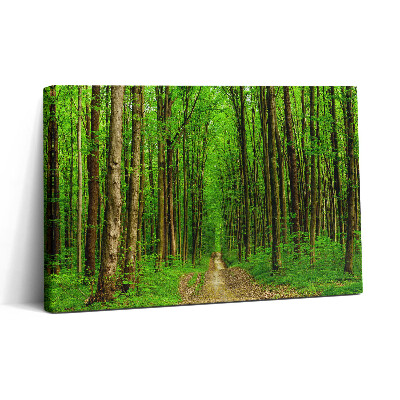 Vászonkép nyomtatás 30x20 Erdei ösvény a fák között