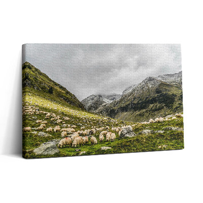 Vászonkép nyomtatás 30x20 Birkák a hegyi réten
