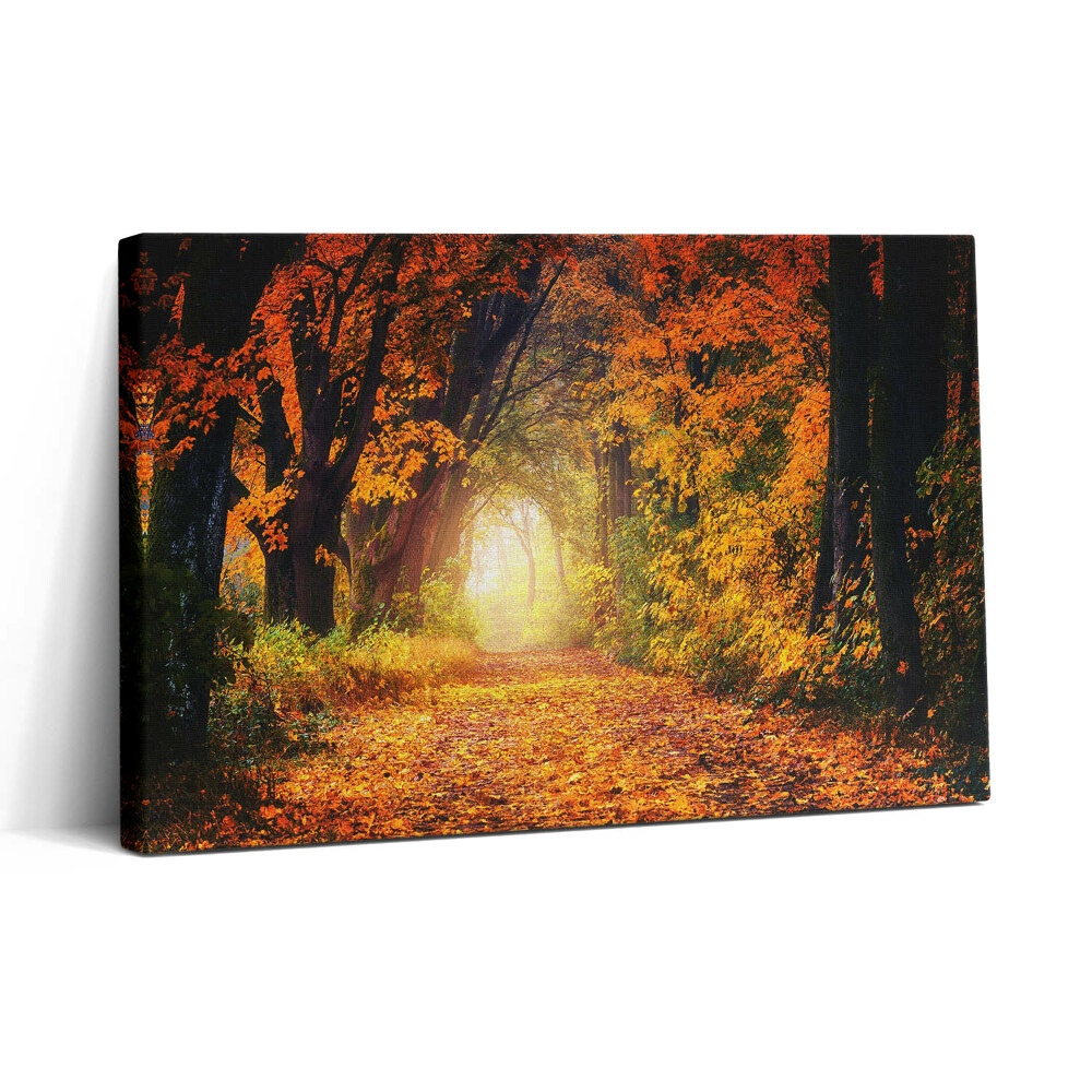 Vászonkép nyomtatás 30x20 Őszi levelekből álló erdei alagút