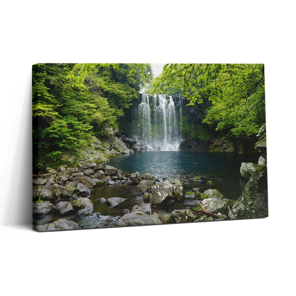 Vászonkép nyomtatás 30x20 Vízesés és folyó a fák között