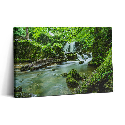 Vászonkép nyomtatás 30x20 Vízesés a vad dzsungelben