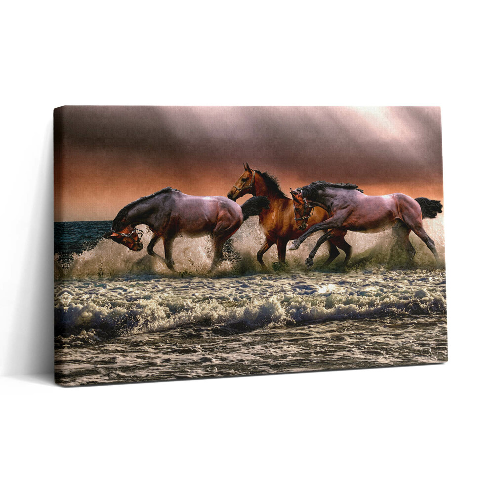 Vászonkép nyomtatás 30x20 Vízbe bukott lovak