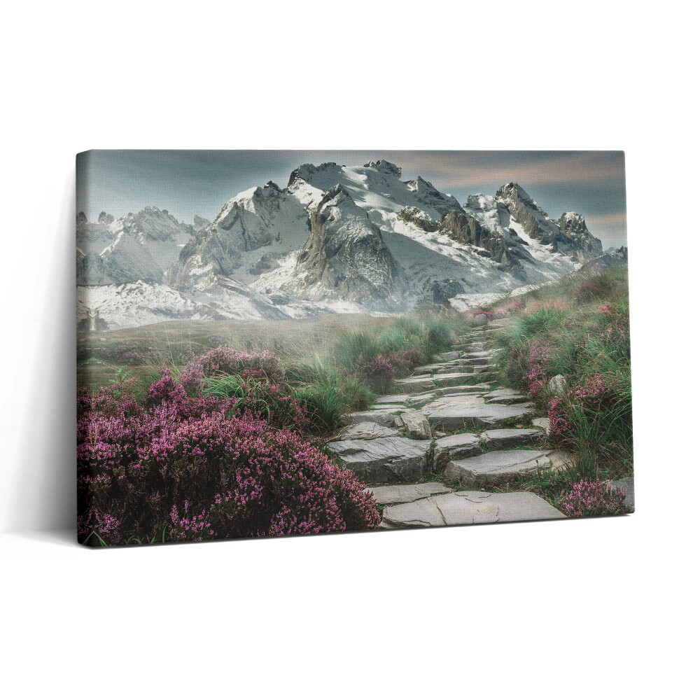 Vászonkép nyomtatás 30x20 Kőút a hegyekben