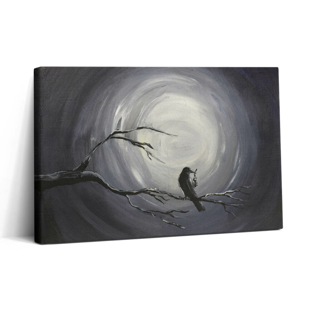 Vászonkép nyomtatás 30x20 Holló a holdfényben