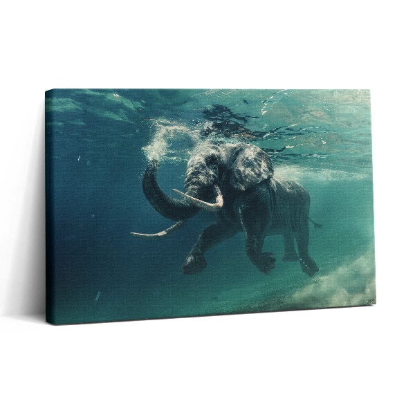 Vászonkép nyomtatás 30x20 Afrikai elefánt a vízben