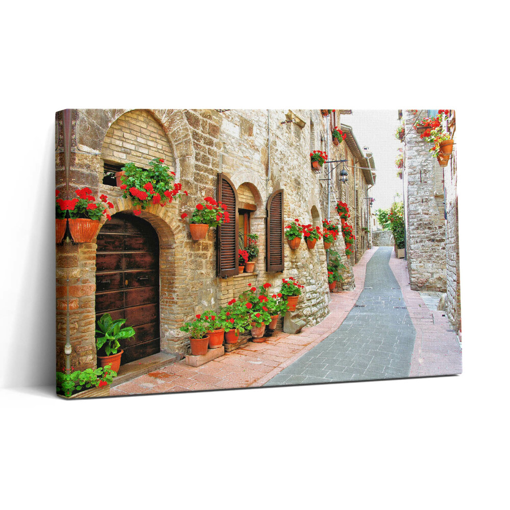 Vászonkép nyomtatás 30x20 Festői utca virágokkal