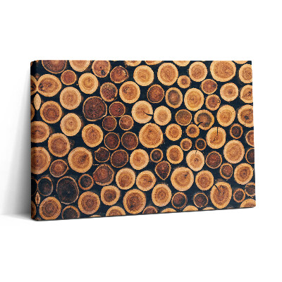 Vászonkép nyomtatás 30x20 Fa fatörzsek