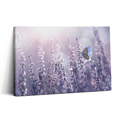 Vászonkép nyomtatás 30x20 Pillangó mezei virágokon