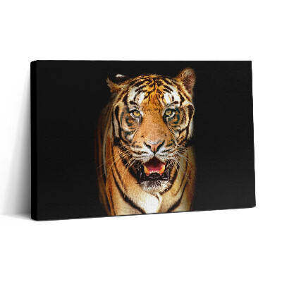 Vászonkép nyomtatás 30x20 Kifejező vad tigris macska