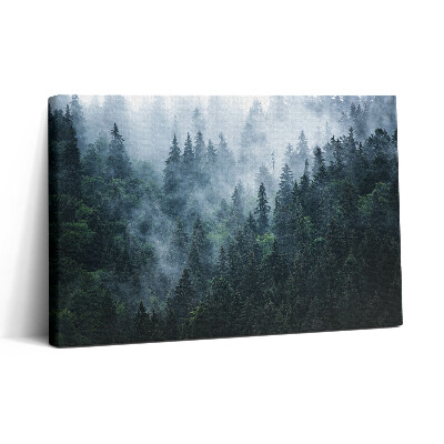 Vászonkép nyomtatás 30x20 Ködös hegyi táj