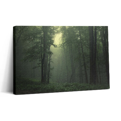 Vászonkép nyomtatás 30x20 Ködös erdő reggel