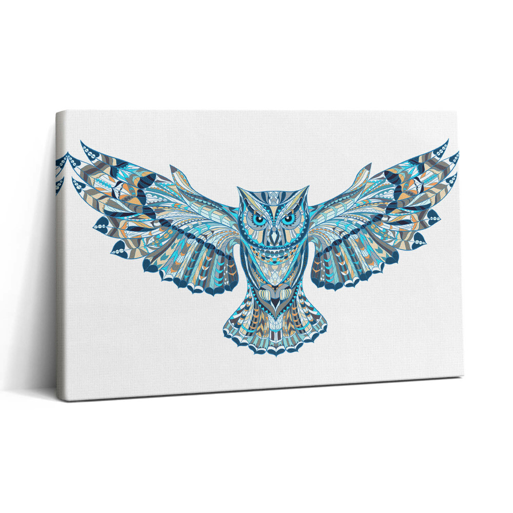 Vászonkép nyomtatás 30x20 Bagoly repülés közben