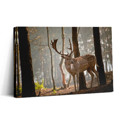 Vászonkép nyomtatás 30x20 Szarvas a felkelő nap fényében