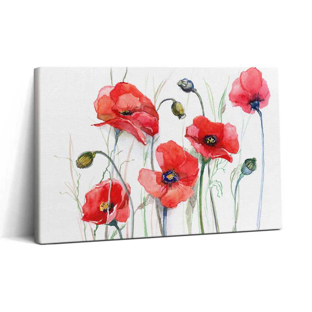 Vászonkép nyomtatás 30x20 Festményművészet - vörös pipacsok