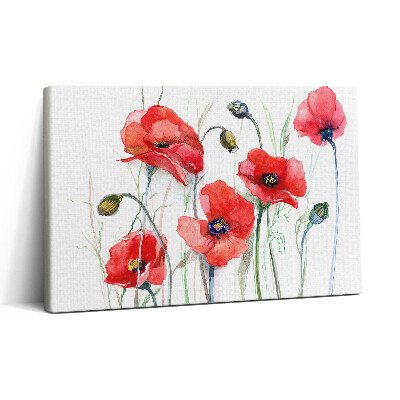 Vászonkép nyomtatás 30x20 Festményművészet - vörös pipacsok