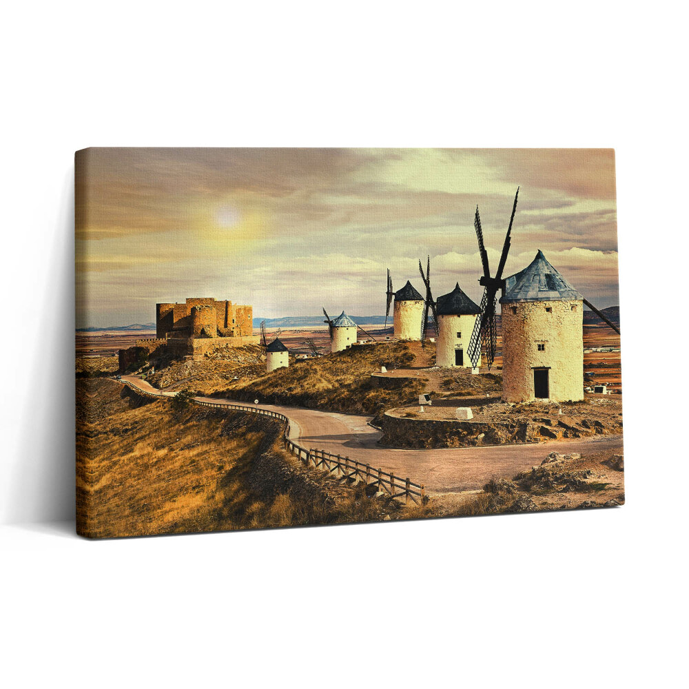 Vászonkép nyomtatás 30x20 Cosuegra szélmalmok