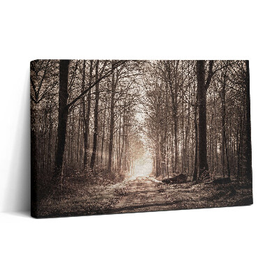 Vászonkép nyomtatás 30x20 Erdei ösvény szepia színekben