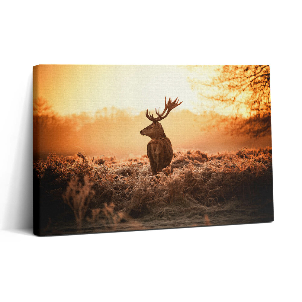 Vászonkép nyomtatás 30x20 Szarvasok napfelkeltekor