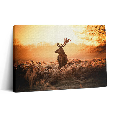 Vászonkép nyomtatás 30x20 Szarvasok napfelkeltekor