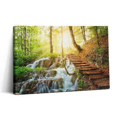 Vászonkép nyomtatás 30x20 Patak és lépcső az erdőben