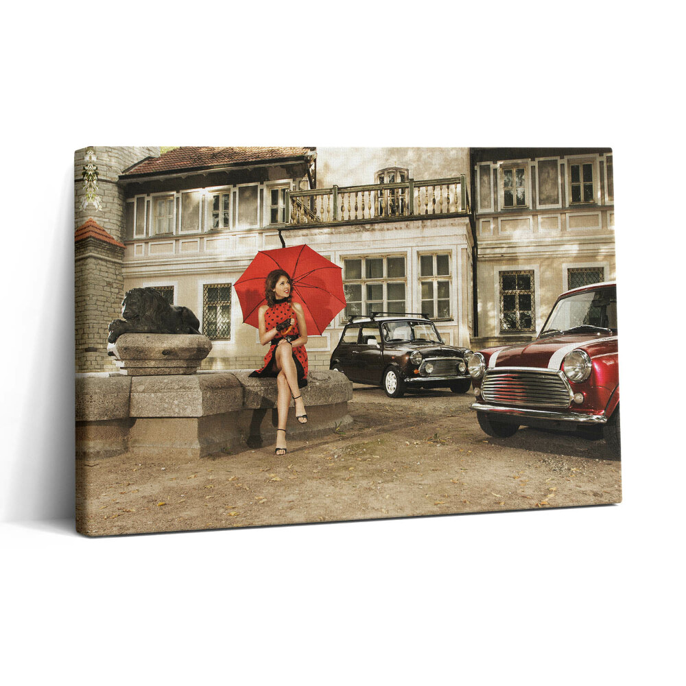 Vászonkép nyomtatás 30x20 Régi iskolai autók