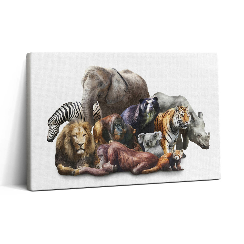 Vászonkép nyomtatás 30x20 Vadvilág