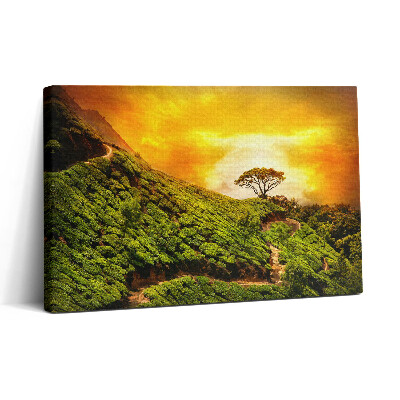 Vászonkép nyomtatás 30x20 Tea domb
