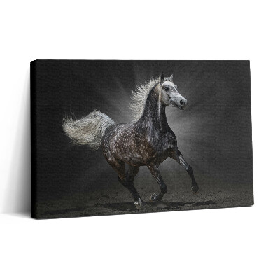 Vászonkép nyomtatás 30x20 Galoppáló ló