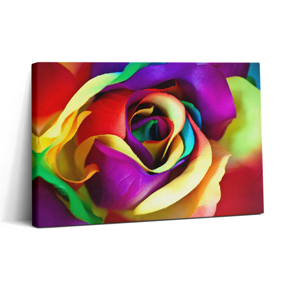 Vászonkép nyomtatás 30x20 Szivárványos rózsa