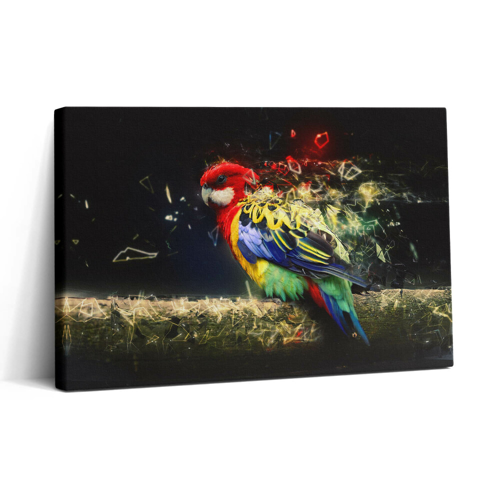 Vászonkép nyomtatás 30x20 Papagáj absztrakció