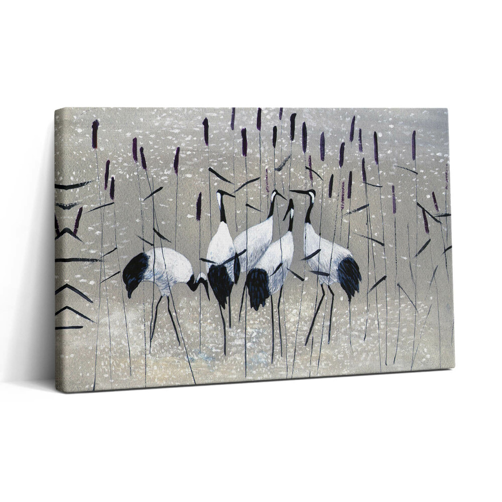 Vászonkép nyomtatás 30x20 Náddaruk