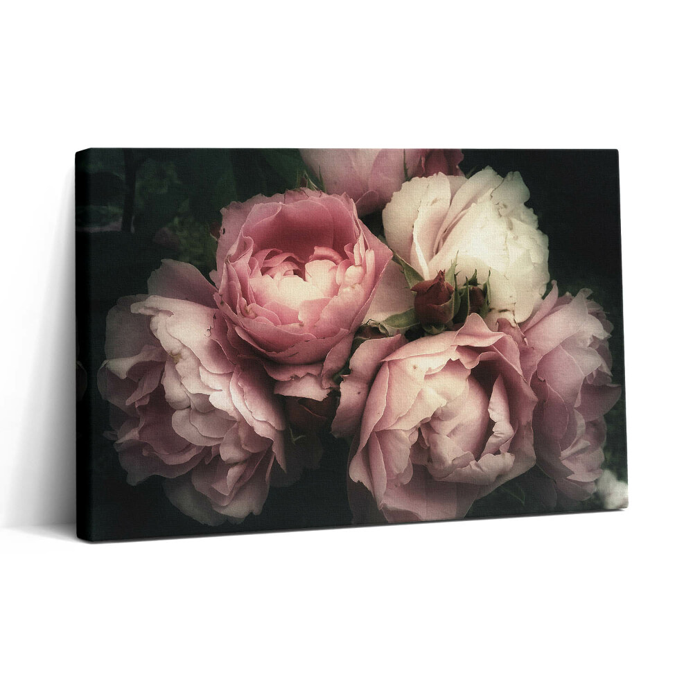 Vászonkép nyomtatás 30x20 Csokor régi rózsaszín rózsákból