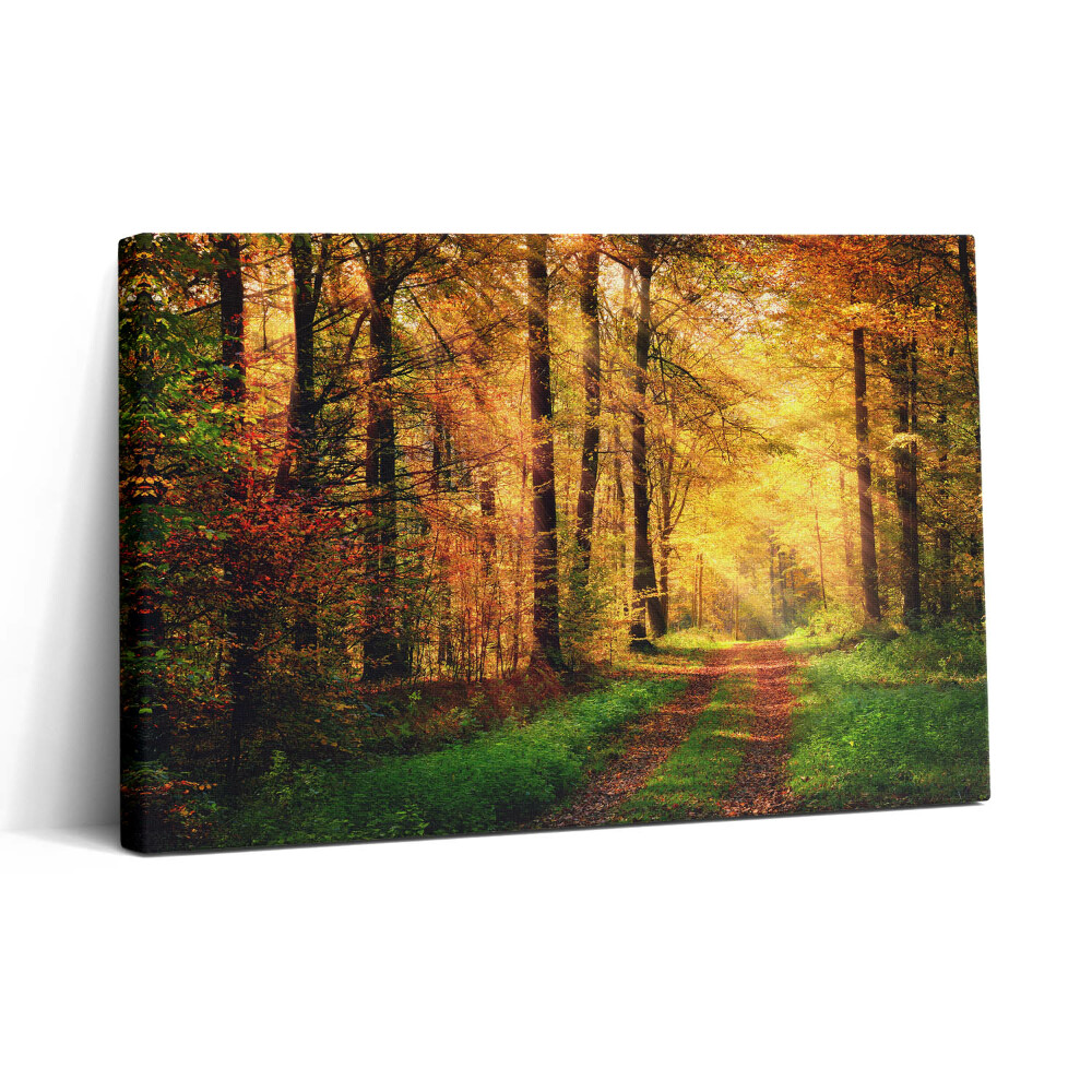 Vászonkép nyomtatás 30x20 Őszi erdei tájkép
