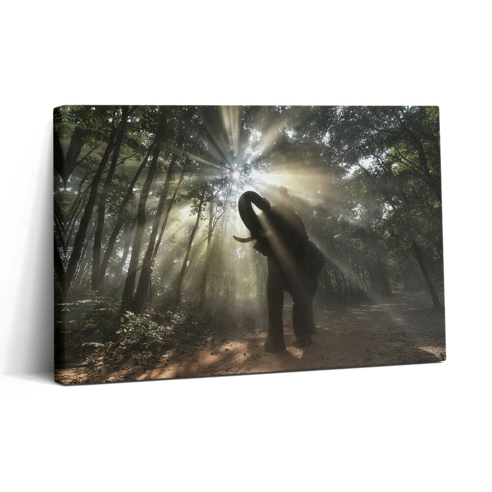 Vászonkép nyomtatás 30x20 Elefánt a dzsungelben
