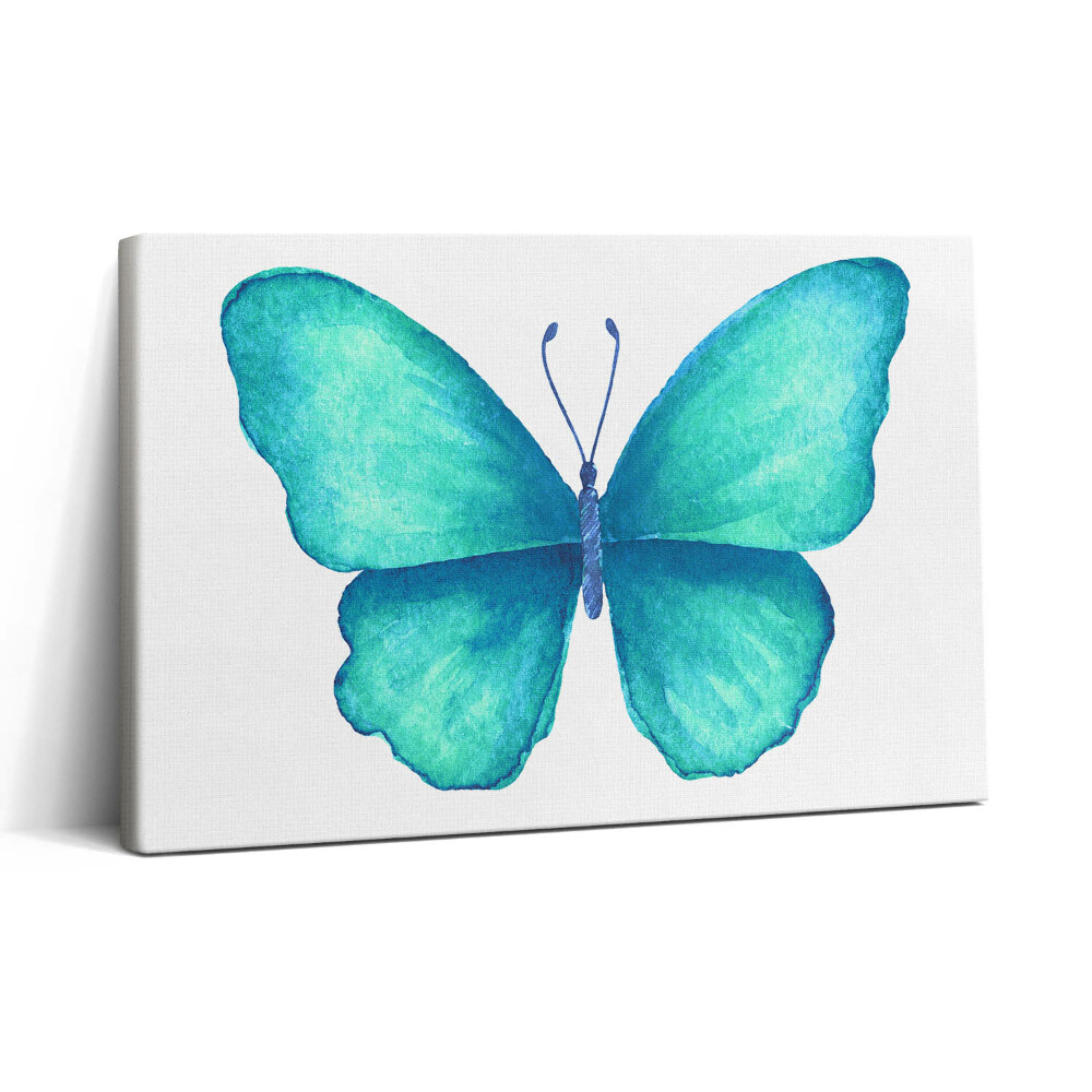 Vászonkép nyomtatás 30x20 Türkizkék nyári pillangó