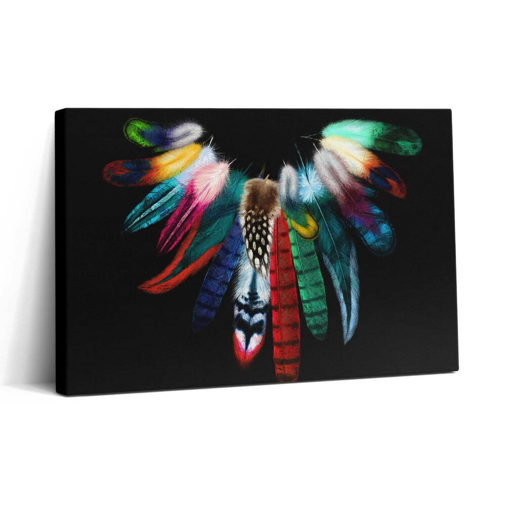 Vászonkép nyomtatás 30x20 Színes madártollak