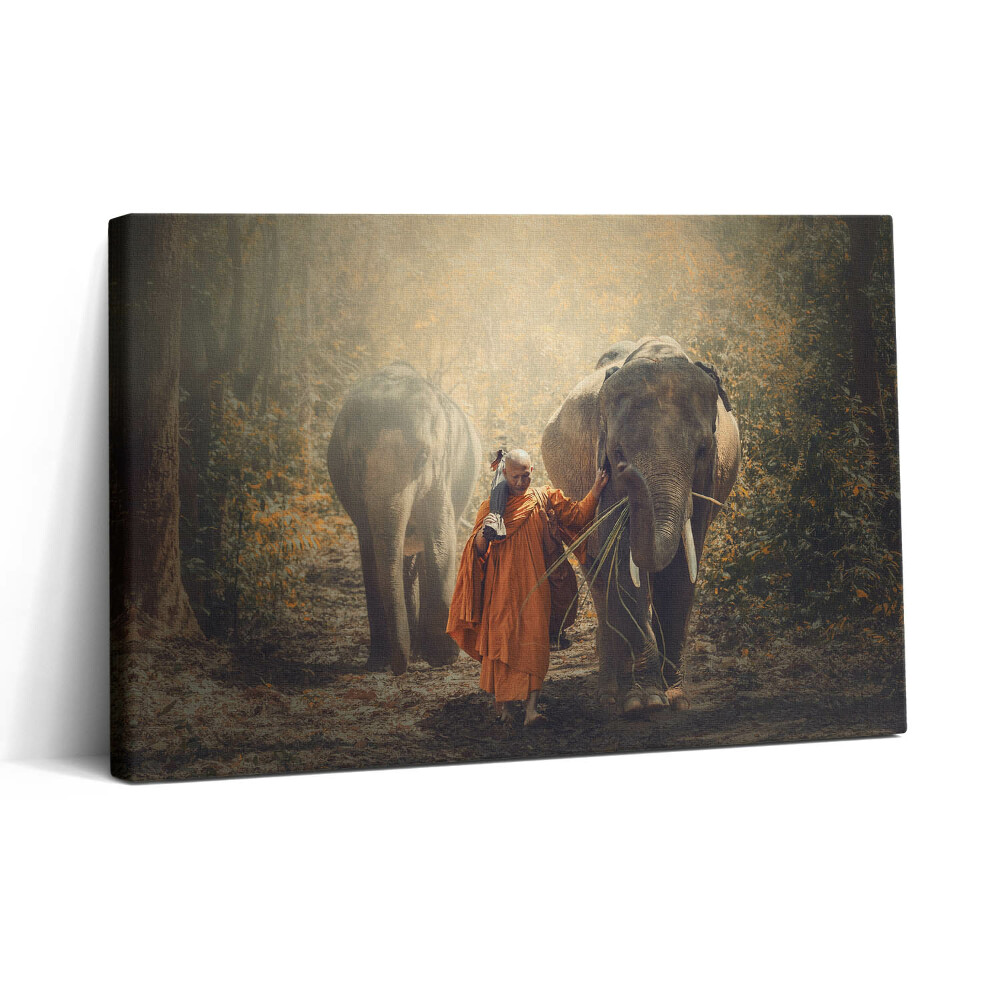 Vászonkép nyomtatás 30x20 Szerzetes és elefántok
