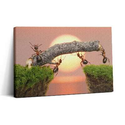 Vászonkép nyomtatás 30x20 Hangyák egy fatörzsön