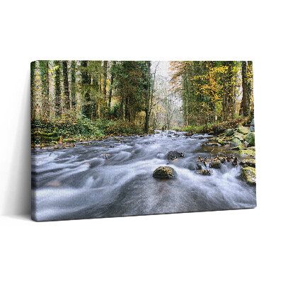 Vászonkép nyomtatás 30x20 Hegyi patak
