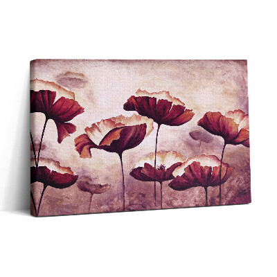 Vászonkép nyomtatás 30x20 Virágzó mákvirágok