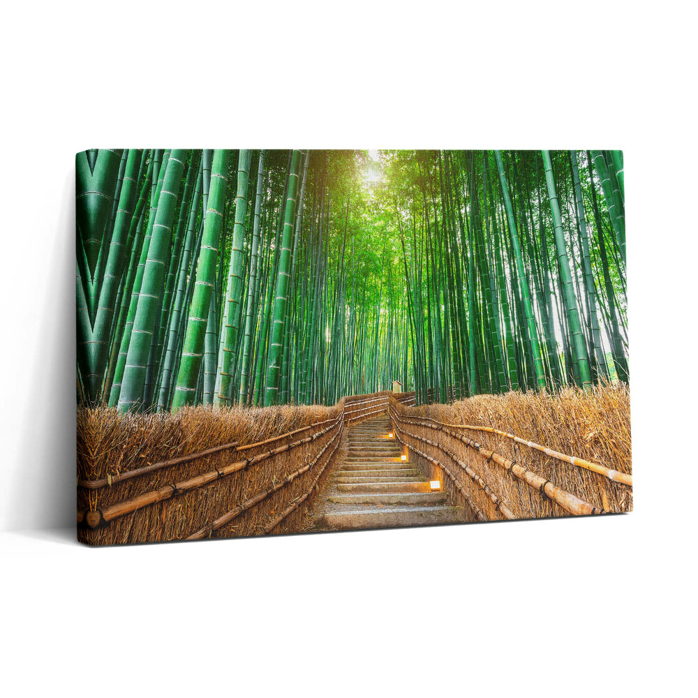 Vászonkép nyomtatás 30x20 Út egy bambuszos erdőben
