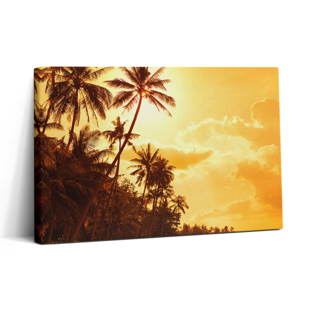 Vászonkép nyomtatás 30x20 Napfényes pálmafák a tengerparton