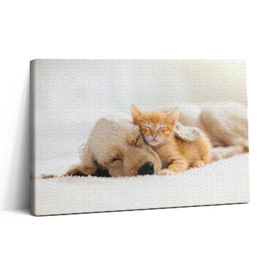 Vászonkép nyomtatás 30x20 Alvó állatok macska és kutya