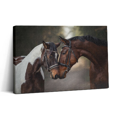 Vászonkép nyomtatás 30x20 Lovak portréja az erdőben