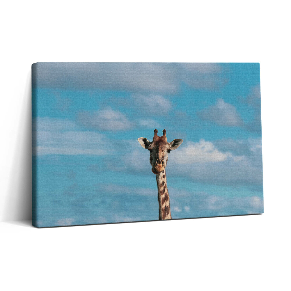 Vászonkép nyomtatás 30x20 Zsiráffej az égen
