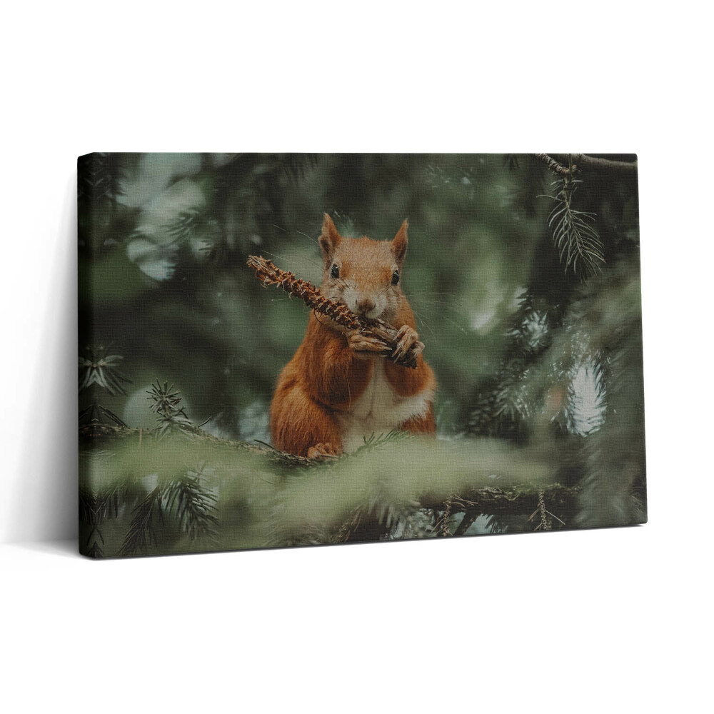 Vászonkép nyomtatás 30x20 Vadon élő mókus