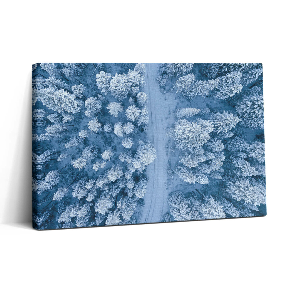 Vászonkép nyomtatás 30x20 Az erdő madártávlatból. Drónok